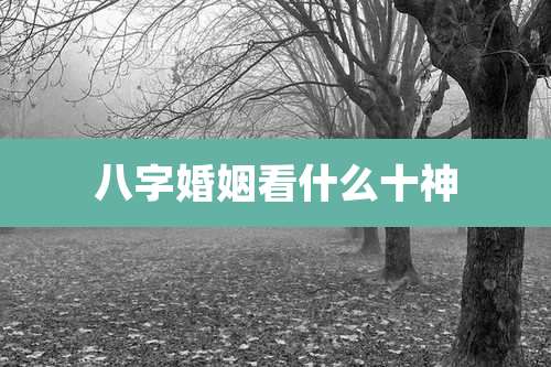 八字婚姻看什么十神