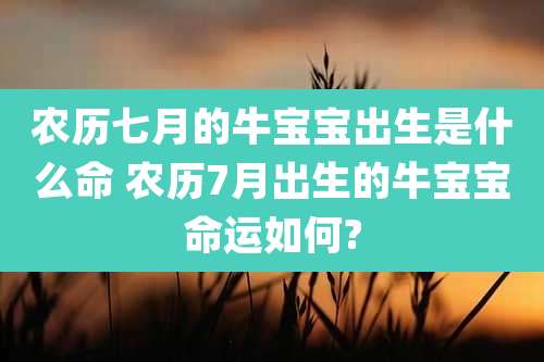 农历七月的牛宝宝出生是什么命 农历7月出生的牛宝宝命运如何?