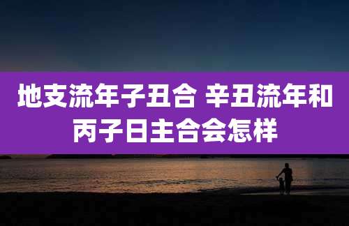 地支流年子丑合 辛丑流年和丙子日主合会怎样