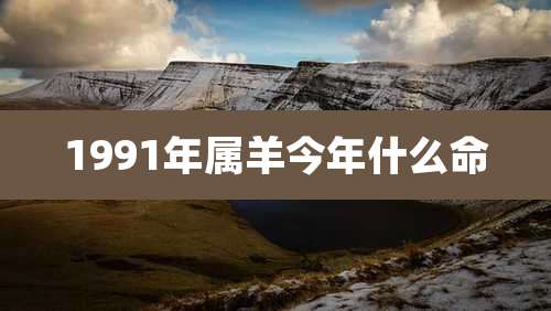 1991年属羊今年什么命