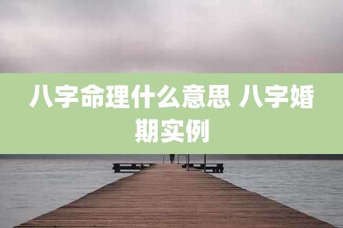 八字命理什么意思 八字婚期实例
