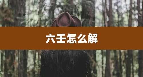 六壬怎么解