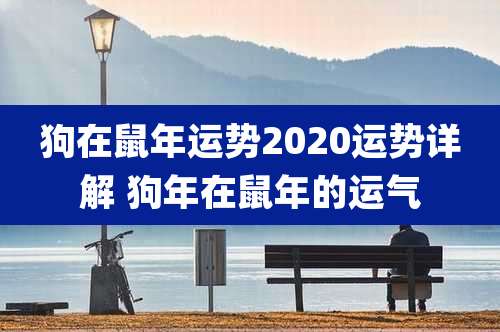 狗在鼠年运势2020运势详解 狗年在鼠年的运气