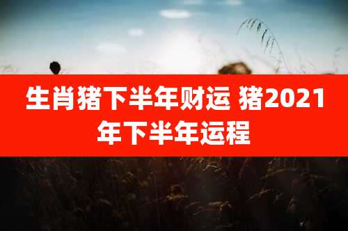 生肖猪下半年财运 猪2021年下半年运程