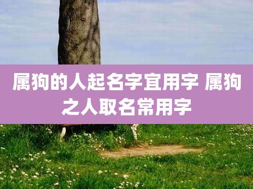 属狗的人起名字宜用字 属狗之人取名常用字