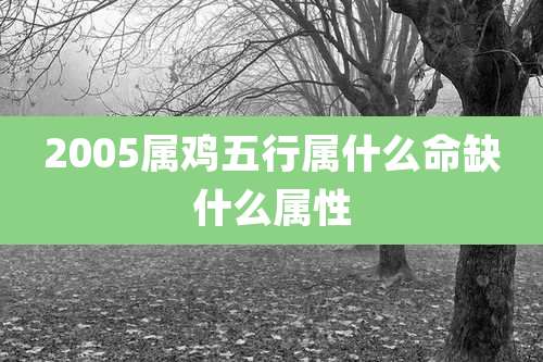 2005属鸡五行属什么命缺什么属性