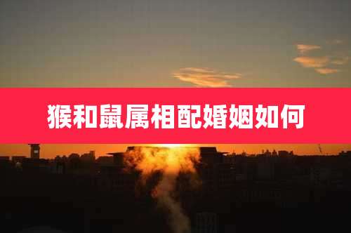 猴和鼠属相配婚姻如何