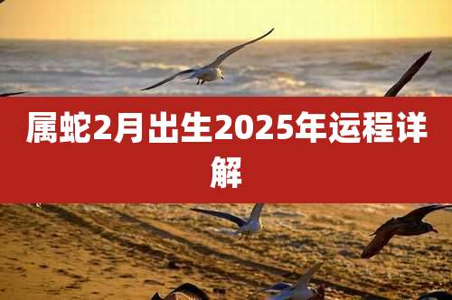 属蛇2月出生2025年运程详解