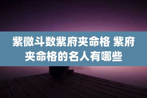 紫微斗数紫府夹命格 紫府夹命格的名人有哪些