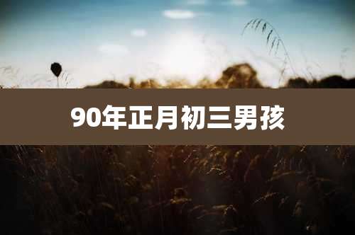 90年正月初三男孩