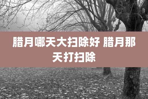 腊月哪天大扫除好 腊月那天打扫除