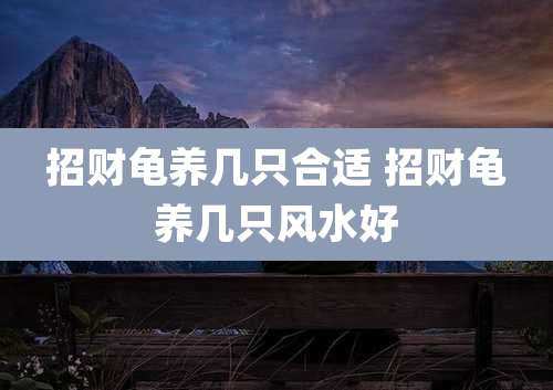 招财龟养几只合适 招财龟养几只风水好