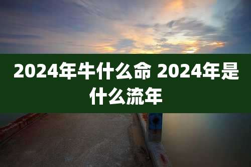 2024年牛什么命 2024年是什么流年