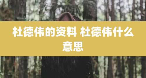 杜德伟的资料 杜德伟什么意思