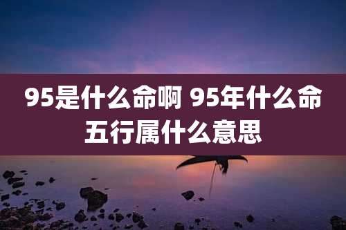 95是什么命啊 95年什么命五行属什么意思