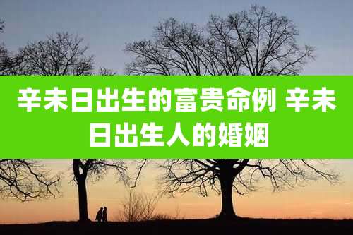 辛未日出生的富贵命例 辛未日出生人的婚姻