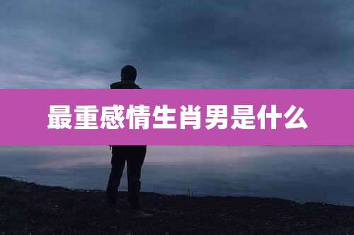 最重感情生肖男是什么