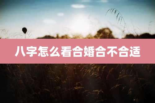 八字怎么看合婚合不合适