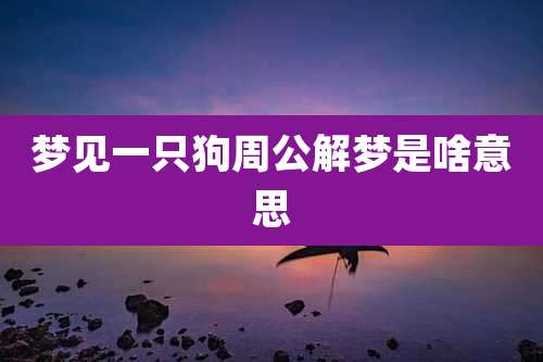梦见一只狗周公解梦是啥意思