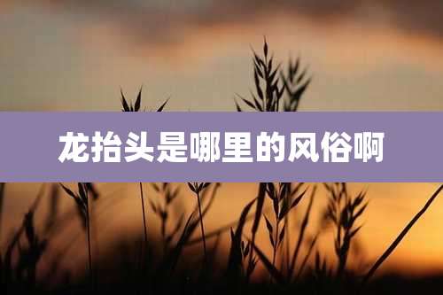 龙抬头是哪里的风俗啊