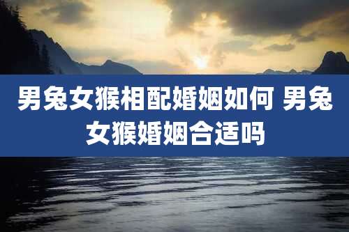 男兔女猴相配婚姻如何 男兔女猴婚姻合适吗