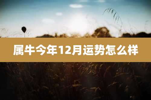 属牛今年12月运势怎么样