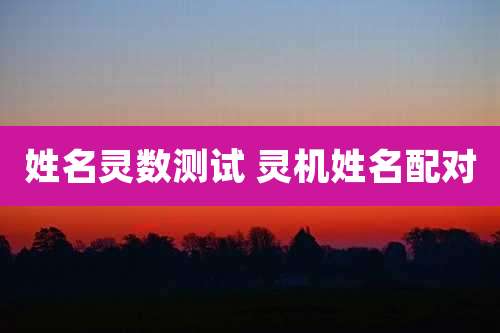 姓名灵数测试 灵机姓名配对
