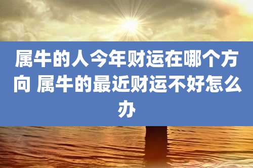 属牛的人今年财运在哪个方向 属牛的最近财运不好怎么办