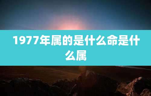 1977年属的是什么命是什么属