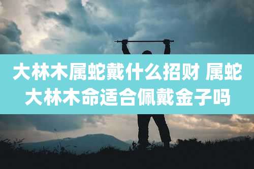 大林木属蛇戴什么招财 属蛇大林木命适合佩戴金子吗