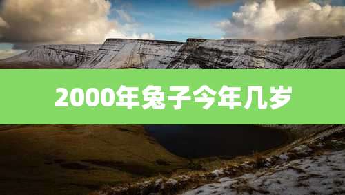 2000年兔子今年几岁
