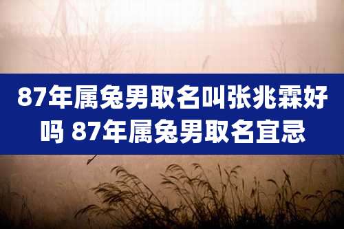 87年属兔男取名叫张兆霖好吗 87年属兔男取名宜忌
