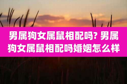 男属狗女属鼠相配吗? 男属狗女属鼠相配吗婚姻怎么样