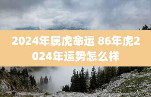 2024年属虎命运 86年虎2024年运势怎么样
