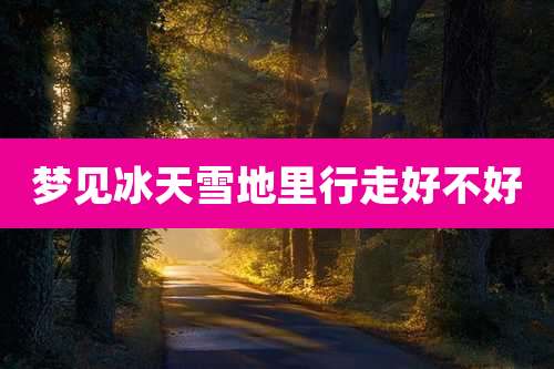 梦见冰天雪地里行走好不好
