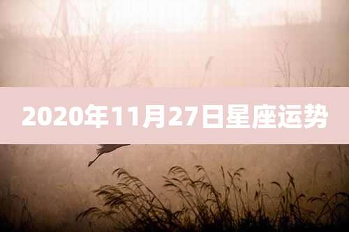 2020年11月27日星座运势