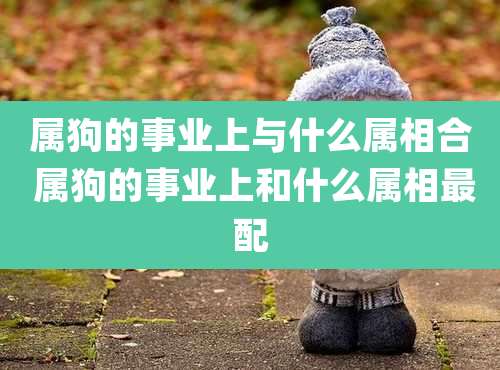 属狗的事业上与什么属相合 属狗的事业上和什么属相最配
