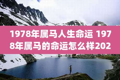 1978年属马人生命运 1978年属马的命运怎么样2020