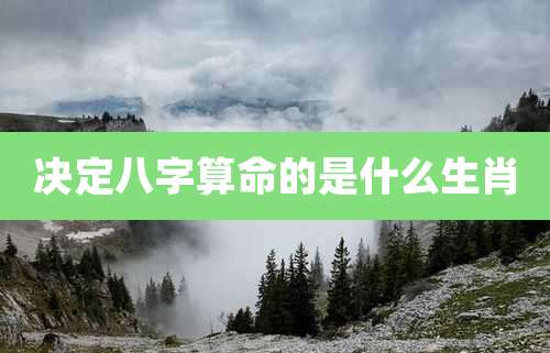 决定八字算命的是什么生肖