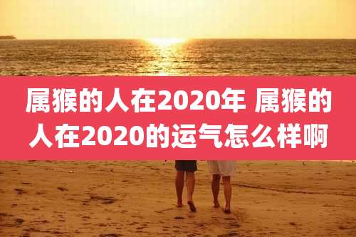 属猴的人在2020年 属猴的人在2020的运气怎么样啊