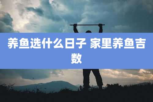 养鱼选什么日子 家里养鱼吉数