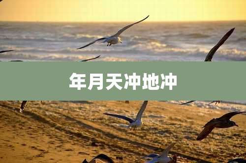 年月天冲地冲