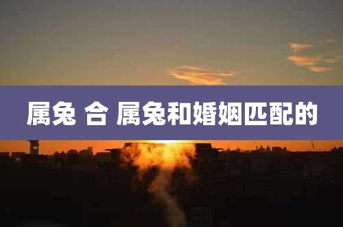 属兔 合 属兔和婚姻匹配的