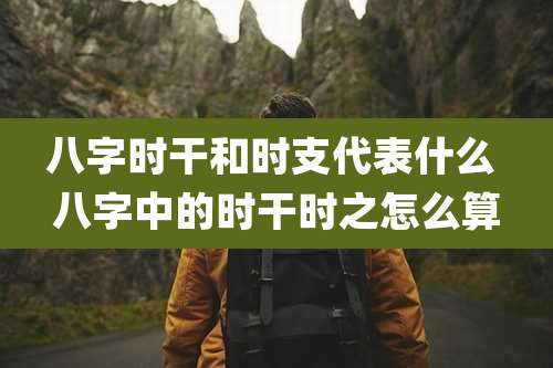 八字时干和时支代表什么 八字中的时干时之怎么算