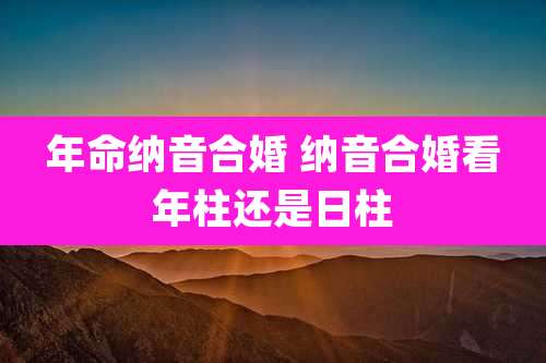 年命纳音合婚 纳音合婚看年柱还是日柱