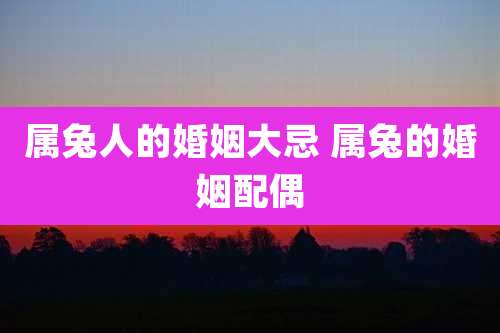 属兔人的婚姻大忌 属兔的婚姻配偶