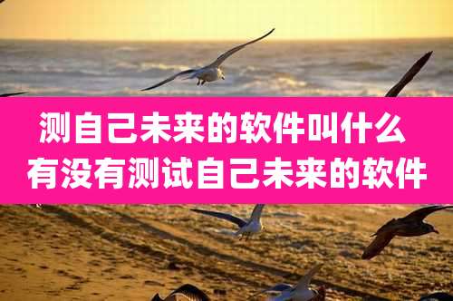 测自己未来的软件叫什么 有没有测试自己未来的软件