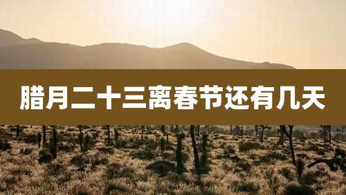 腊月二十三离春节还有几天
