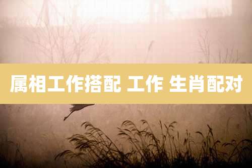 属相工作搭配 工作 生肖配对