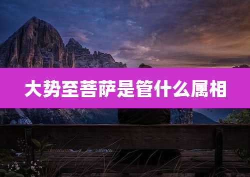 大势至菩萨是管什么属相